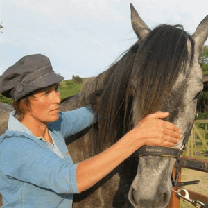 Equine Touch practitioner working gently with a horse in Pembrokeshire
