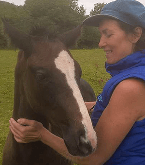 Equine Touch and calm horse–human connection in Pembrokeshire