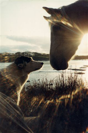 Compassion and care symbol