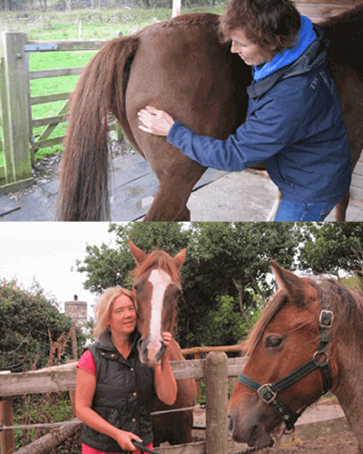 Equine Touch testimonial